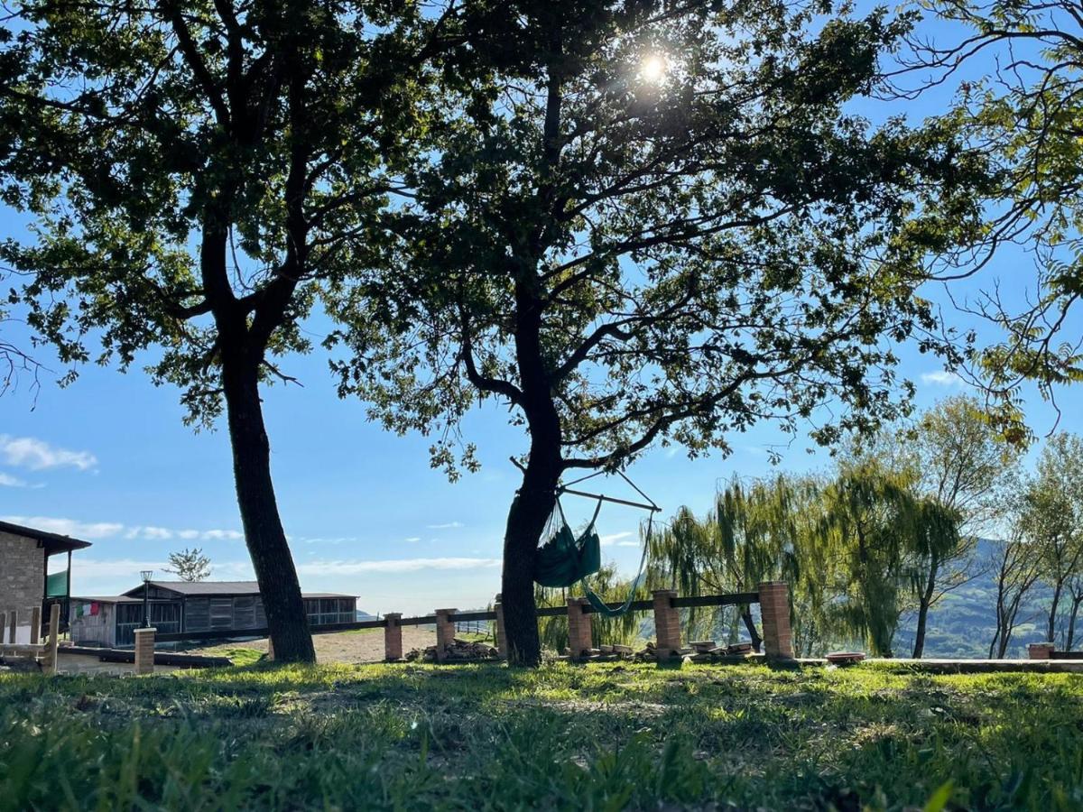 Agriturismo Cergallina Vernasca エクステリア 写真