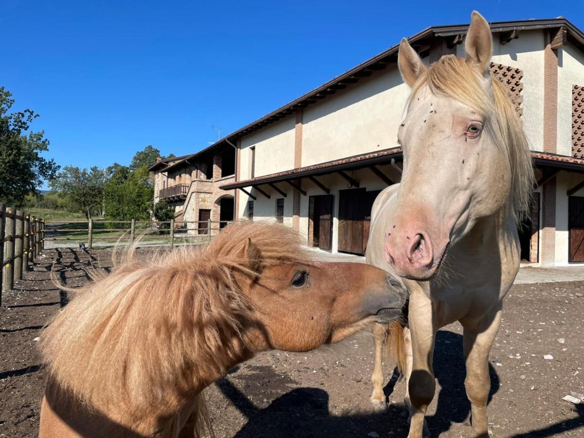 Agriturismo Cergallina Vernasca エクステリア 写真