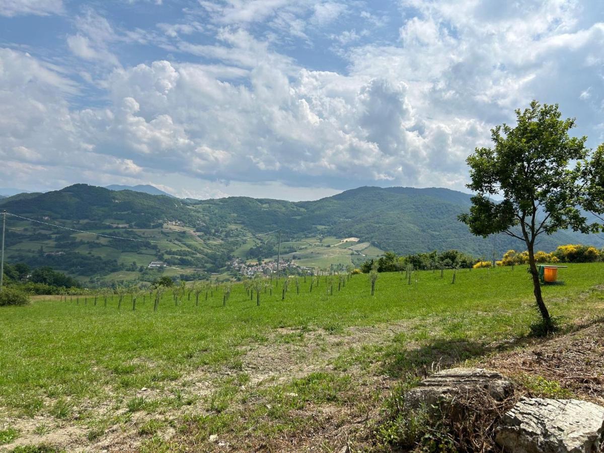 Agriturismo Cergallina Vernasca エクステリア 写真