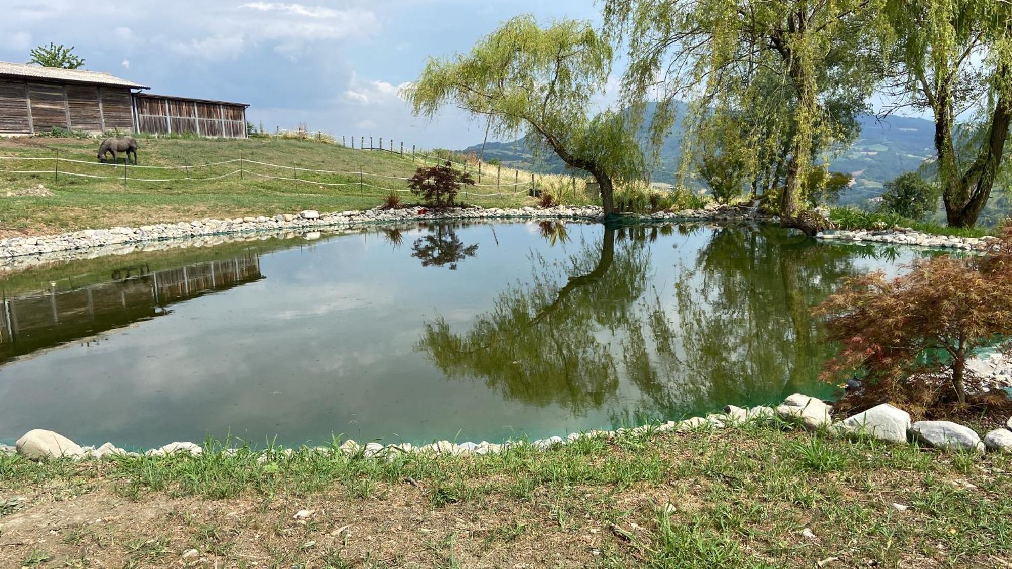 Agriturismo Cergallina Vernasca エクステリア 写真