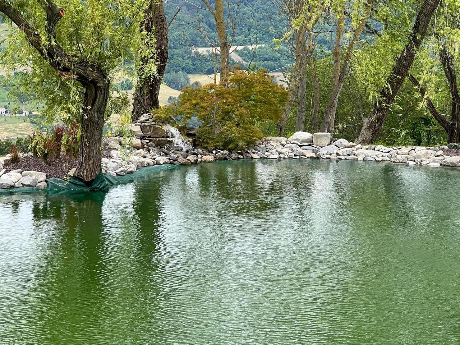 Agriturismo Cergallina Vernasca エクステリア 写真