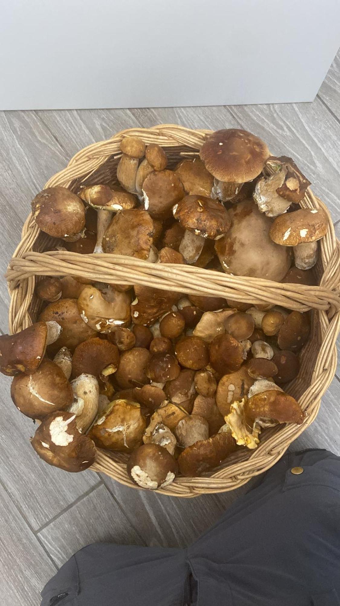 Agriturismo Cergallina Vernasca エクステリア 写真