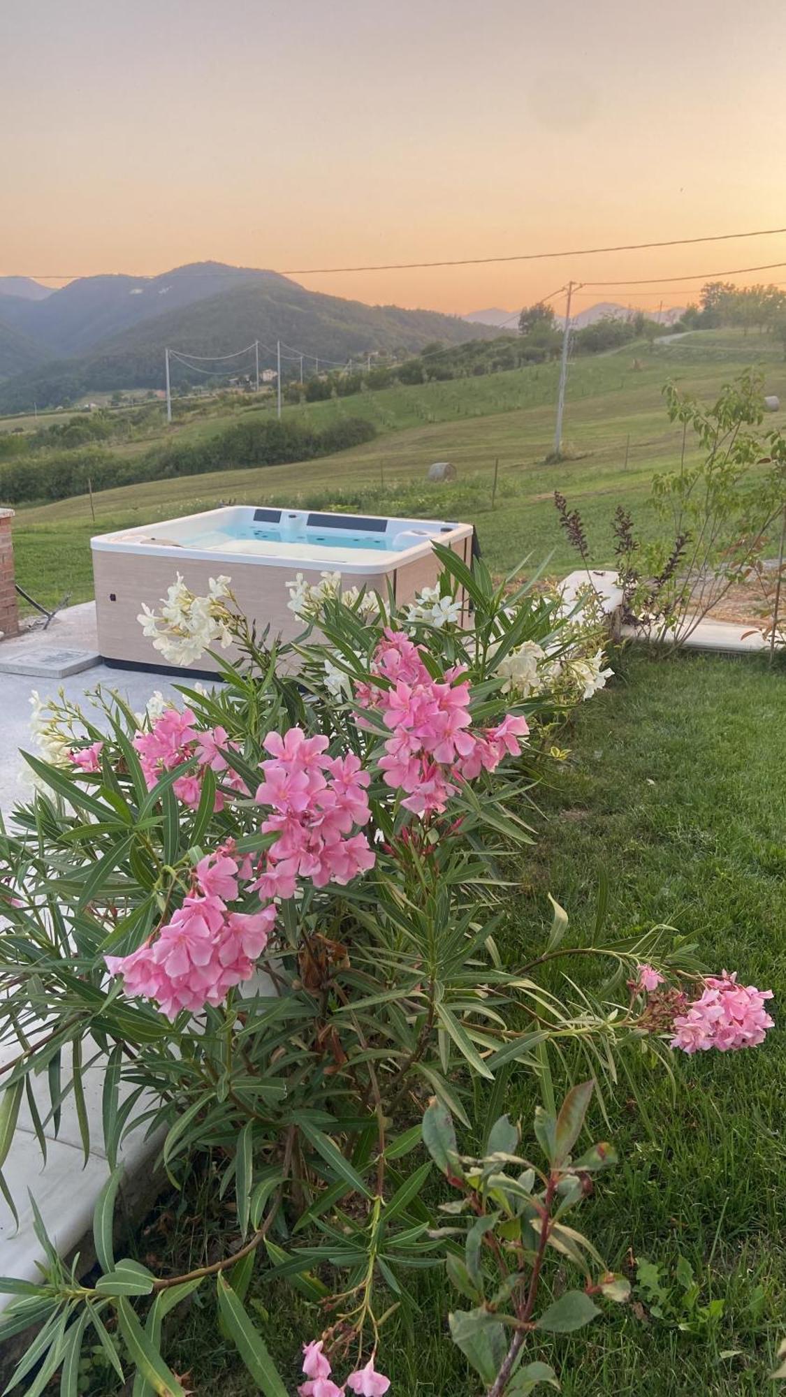 Agriturismo Cergallina Vernasca エクステリア 写真